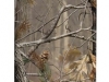 case-mate-realtree-camo-iphone-4-pic-03